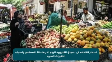 أسعار الفاكهة في أسواق القليوبية اليوم الأربعاء 20 أغسطس وأسباب التغيرات الأخيرة